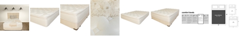 Paramount Nature's Spa by Oasis 13.5" Plush Pillow Top Mattress Set- Queen